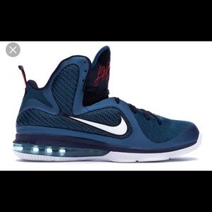 Nike LeBron 9 Swingman sneakers